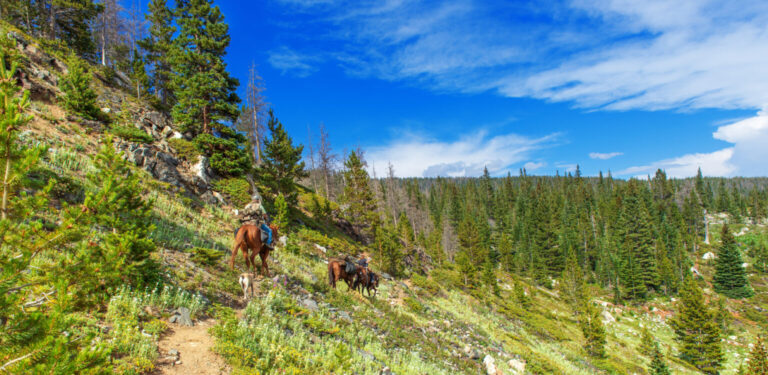 AdobeStock_69960749-2-1536x750-1